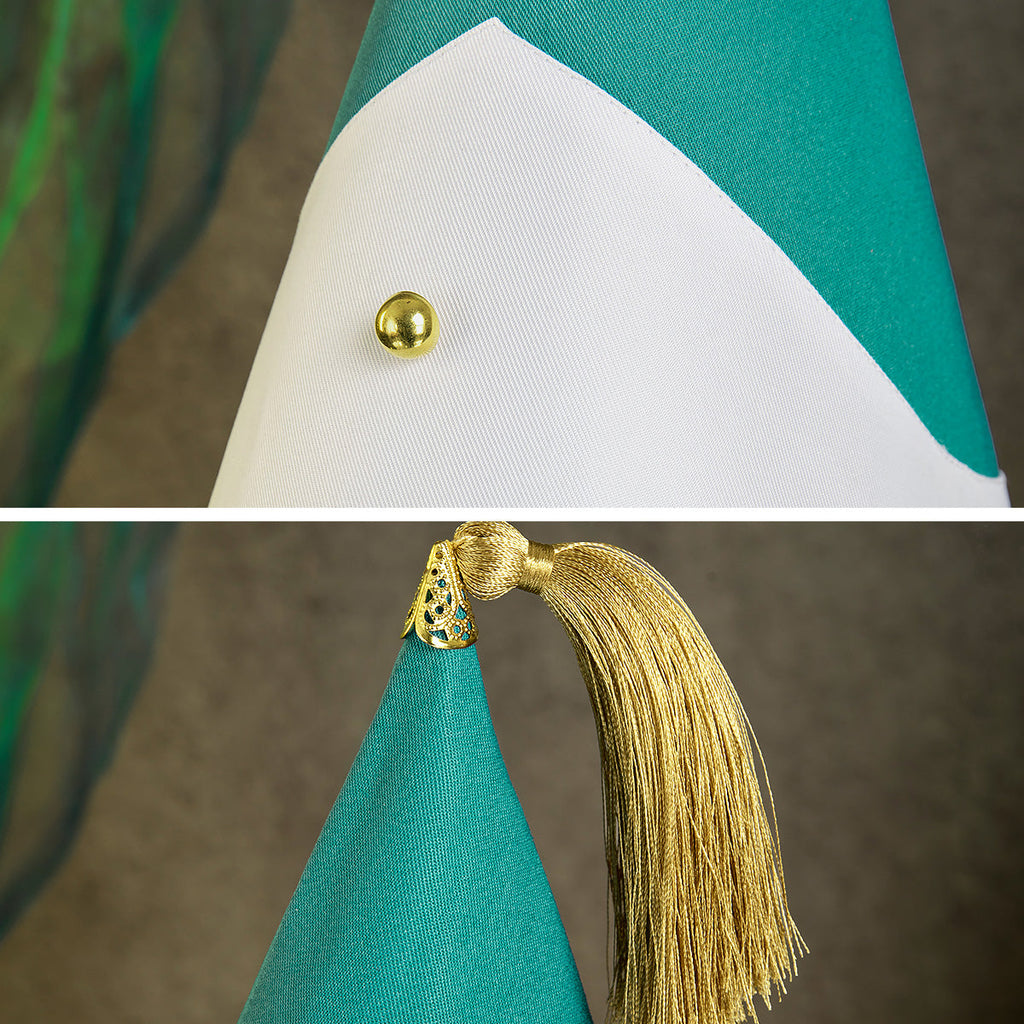 Witch Hat Atelier Agott Cosplay Costume