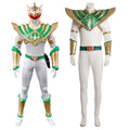 Mighty Morphin Power Rangers Lord Drakkon Cosplay Costume