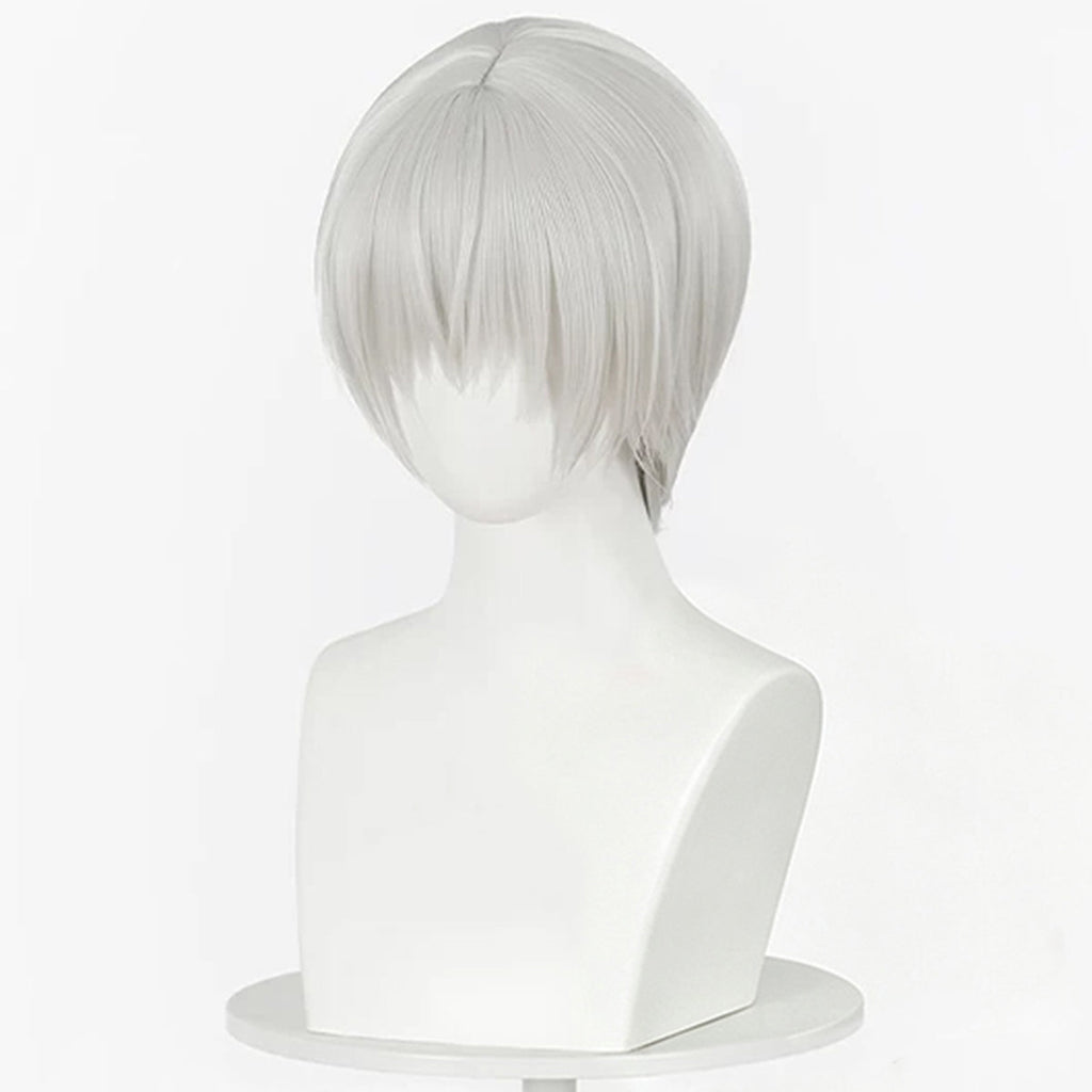 Vampire Knight Kiryu Zero Silve Cosplay Wig