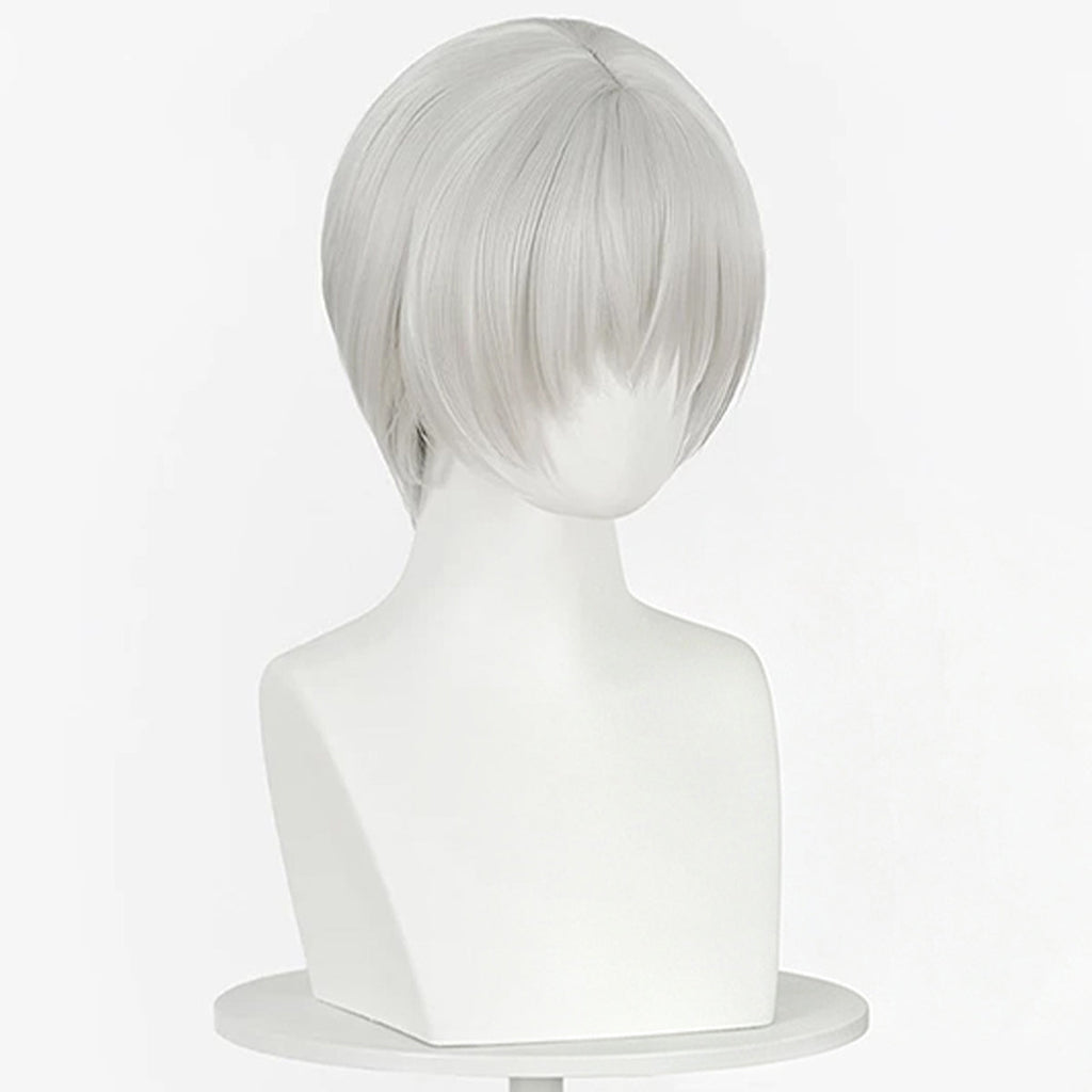 Vampire Knight Kiryu Zero Silve Cosplay Wig