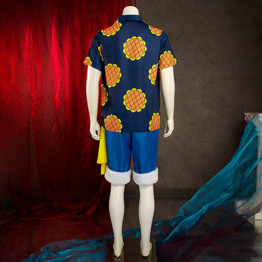 One Piece Lucy Luffy Cosplay Costume