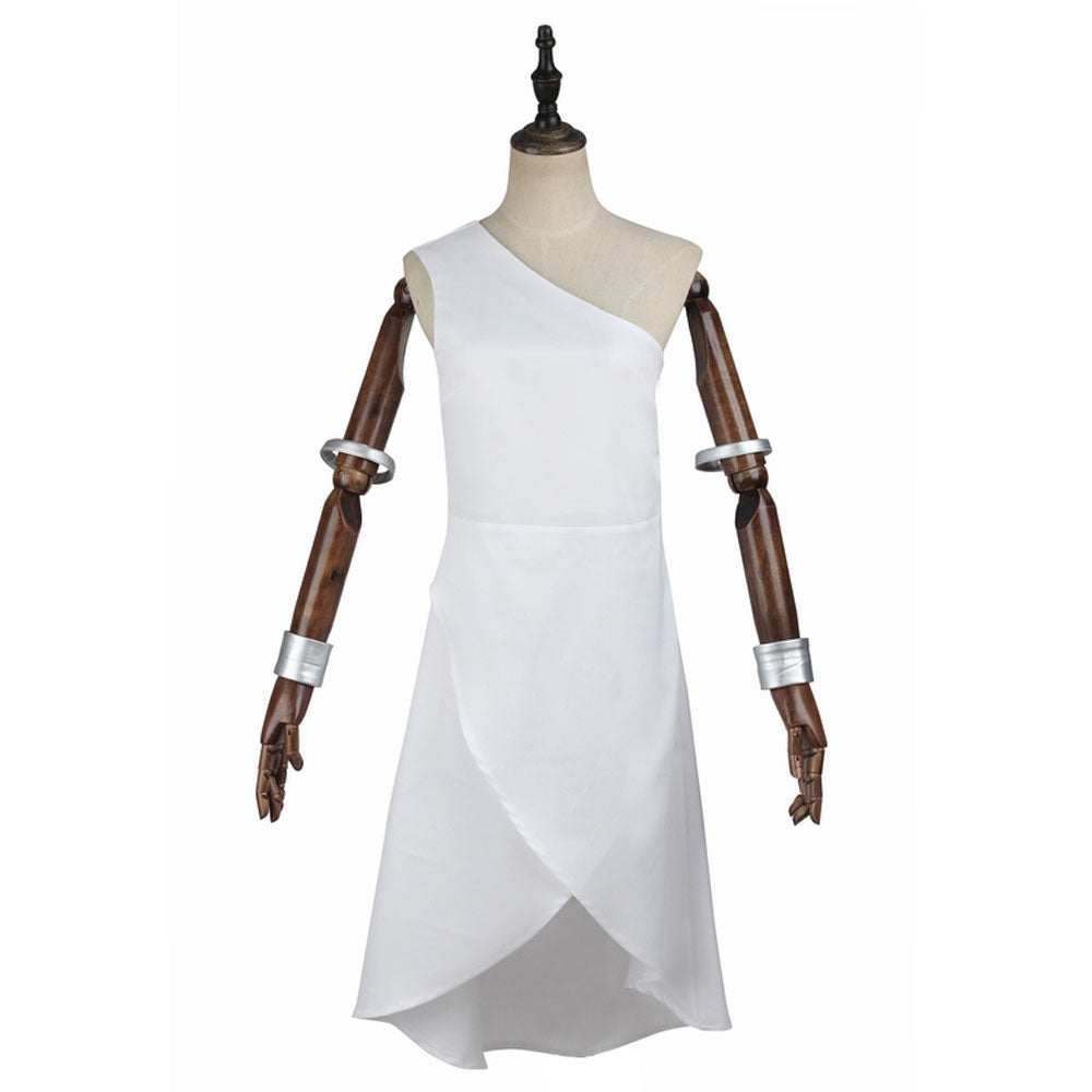 Dragon Quest V Hand of the Heavenly Bride Hero Cosplay Costume