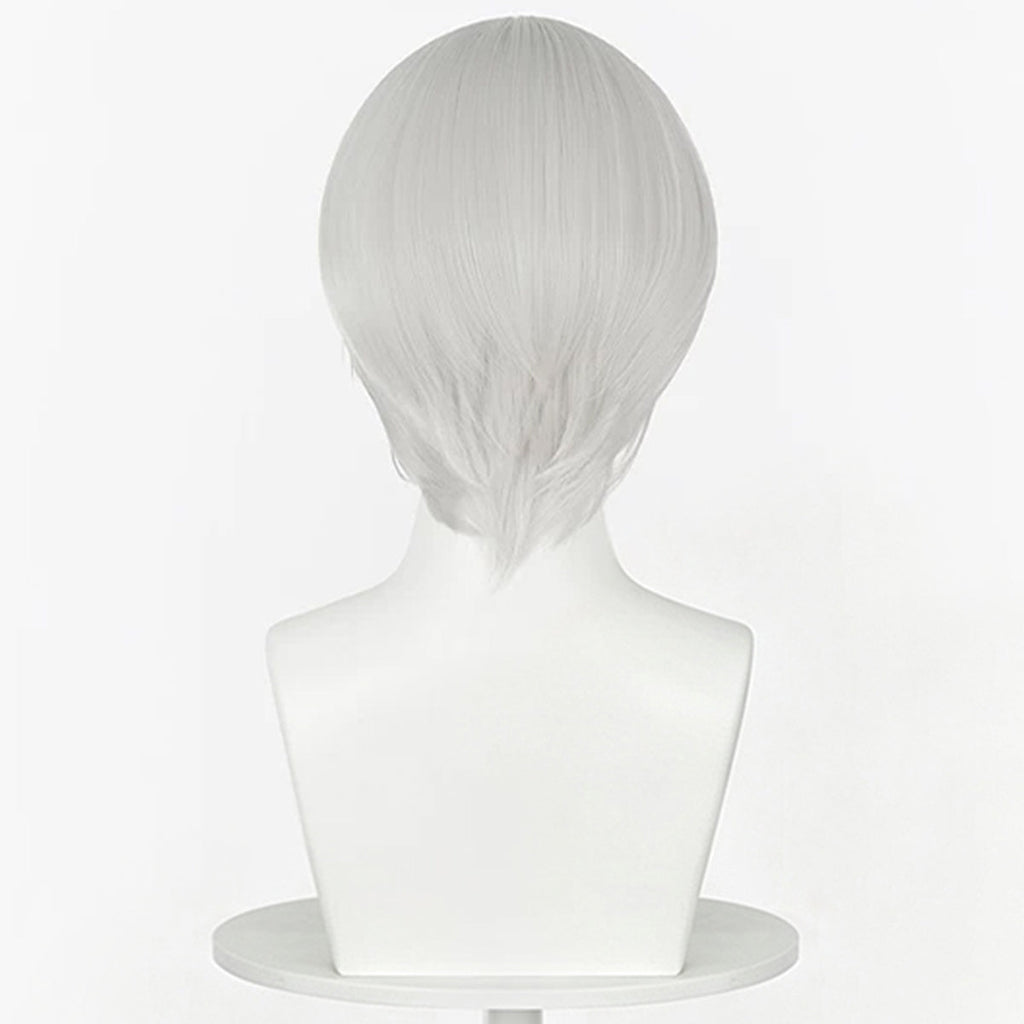 Vampire Knight Kiryu Zero Silve Cosplay Wig