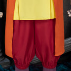 Avatar: The Last Airbender Adult Aang Cosplay Costume